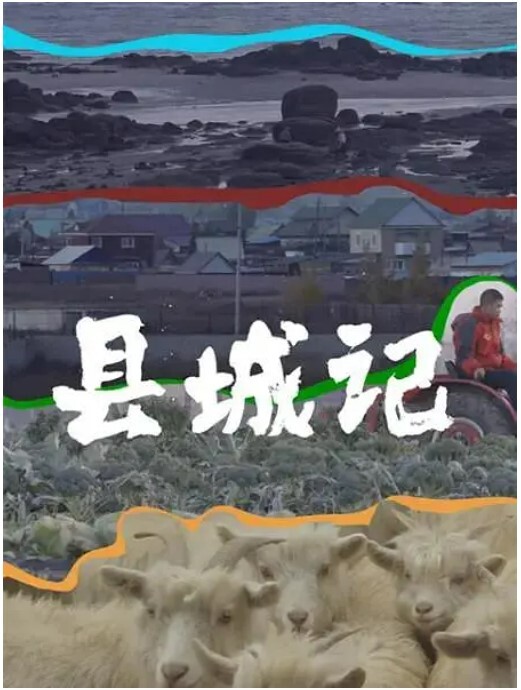 县城记(全集)