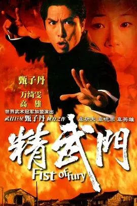 精武门 1995(全集)